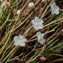 LOBERON Deko-Blumenstrauß Verilo Online