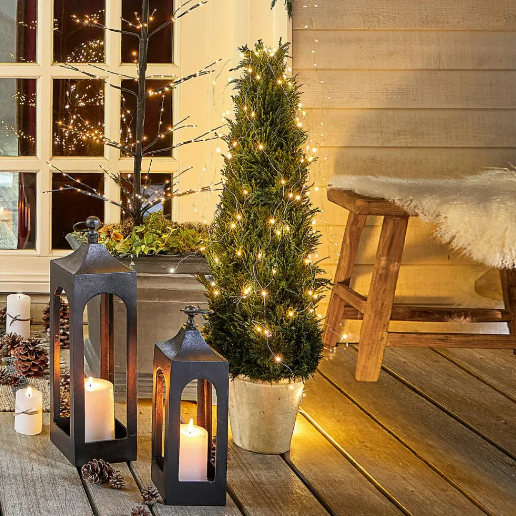 LOBERON Deko-Topfpflanze Arras Outlet