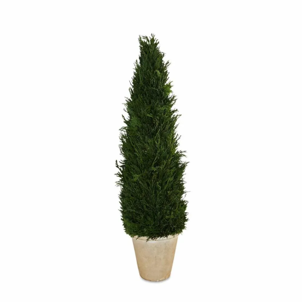 LOBERON Deko-Topfpflanze Arras Outlet