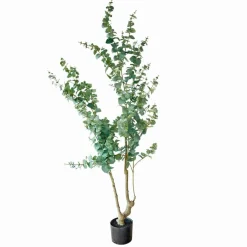 LOBERON Deko-Topfpflanze Dorevi Clearance