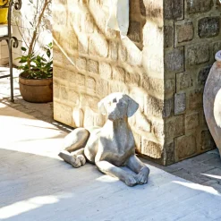 LOBERON Hund Socrate Online
