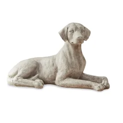 LOBERON Hund Socrate Online