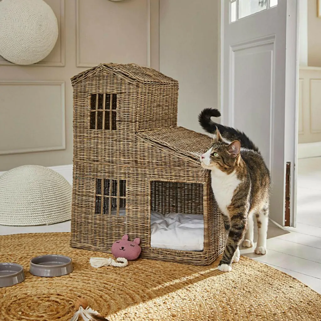 LOBERON Katzenhaus Ravnda