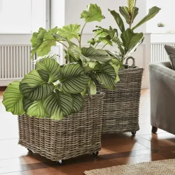 LOBERON Pflanzkorb 2er Set Gialousa Discount