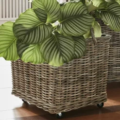 LOBERON Pflanzkorb 2er Set Gialousa Discount