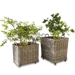 LOBERON Pflanzkorb 2er Set Gialousa Discount
