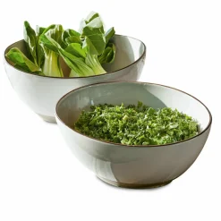 LOBERON Salatschüssel 2er Set Biarré grau Sale