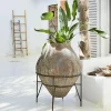 LOBERON Vase Pive Online