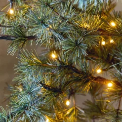 LOBERON Weihnachtsbaum Sapi grün New