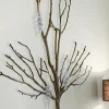 LOBERON Weihnachtsschmuck 4er Set Diorise Sale